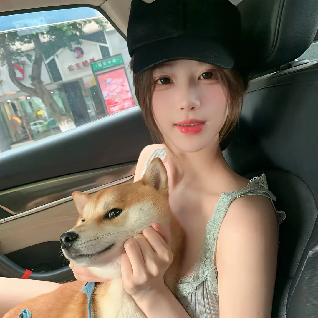双子座计划 在线观看